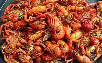 Craw Fish Boil May 5th